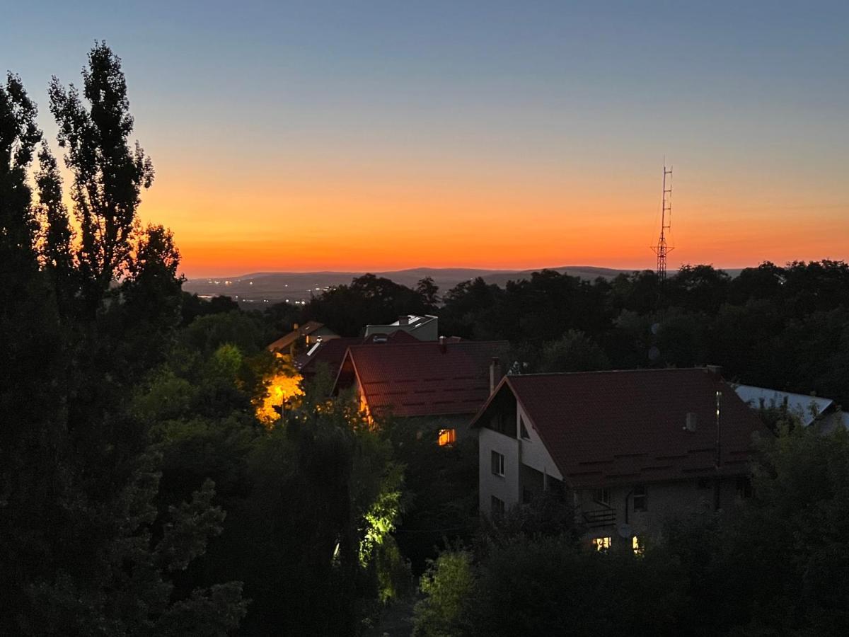 Altheda Living Zamca Appartamento Suceava Esterno foto